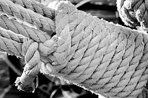 Tall ship sailing rope