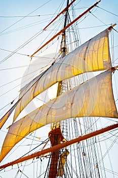 Tall Ship Sails