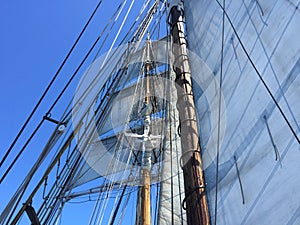 Tall Ship Sails and Rigging