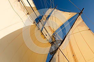 Tall ship sails