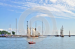 Tall Ships Races