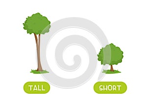 TALL and SHORT antonyms word card vector template. Flashcard for