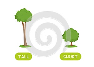 TALL and SHORT antonyms word card vector template. Flashcard for photo