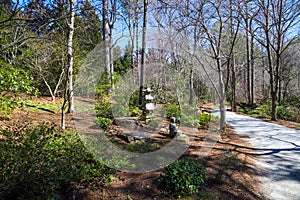 A tall slender stone Japanese lantern in the garden surrounded by brown fallen pine needles and lush green trees and plants