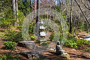 A tall slender stone Japanese lantern in the garden surrounded by brown fallen pine needles and lush green trees