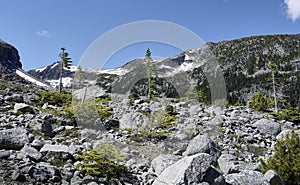 Tall spruce trees on rocky slopes. Snow-covered mountain peaks in the background and a rocky slope in the foreground. Joffre Lakes
