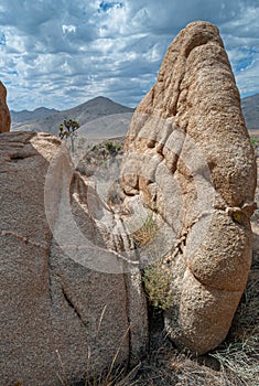 Tall Stone in the Desert