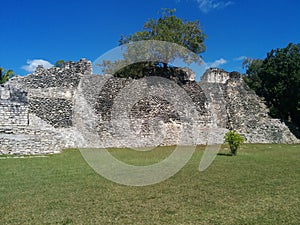 Tall structure with tree growing on top in Kohunlich Mayan ruins