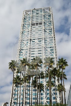 Tall, Taller, Tallest: Palmtrees and skyscraper reaching for the sky