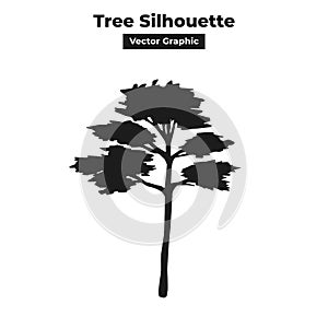 Tall thin and log forest tree silhouette with thin layer leaves bushes and many branches vector graphic isolated design