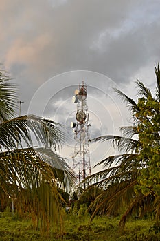 Tall tower structure holding multiple cellular antennae towers in a lush green outdoor landscape