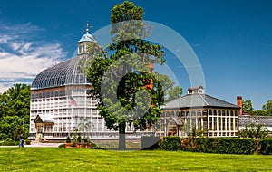 Tall tree and the Howard Peters Rawlings Conservatory in Druid H