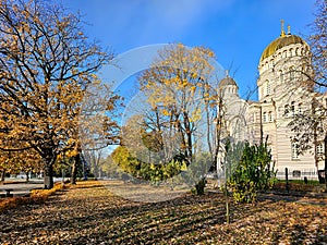 Tall trees with autumn colorful foliage and long shadows on the background Riga Nativity of Christ Orthodox Cathedral