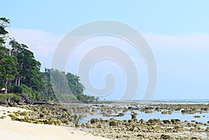 Tall Trees, Azure Sea Water, Rocky and Sandy Pristine Beach, and Clear Blue Sky - Sunset Point, Laxmanpur, Neil Island, Andaman