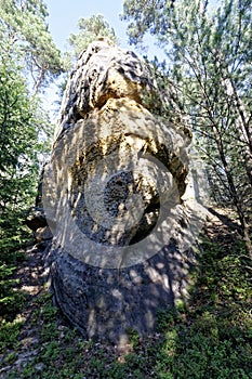 Tall and unique rock formation with shadows of trees falling on it