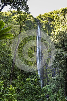 Tall Waimoku Falls on Maui island, Hawaii