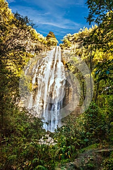 Tall waterfall flowing down the cliff surrounded by native rain forest and native ferns