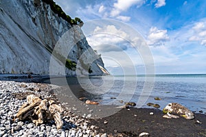 Tall white chalkstone cliffs drop to a rocky beach with a calm ocean and driftwood in the foreground