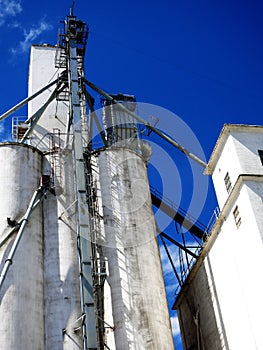 Tall White Grain Storage with Blue Sky