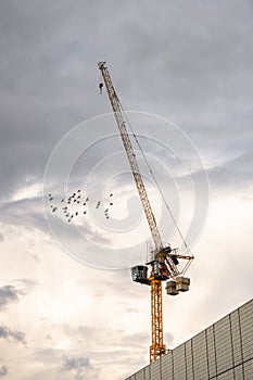 Tall yellow construction tower crane at sunset with flock of birds flying by.