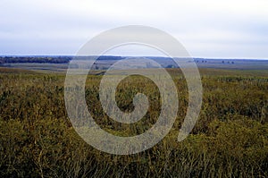 Tallgrass Prairie Preserve  45004 photo