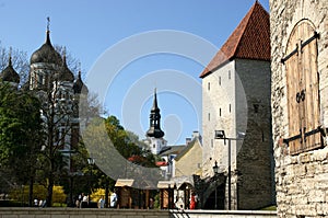 Tallin