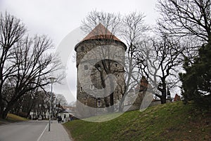 Tallin old town big defensive tower