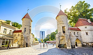 Tallin old town and Viru Gates  Estonia