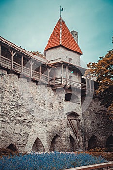 Tallinn the capital of Estonia. Gates in the fortress wall of the castle at the historic old town at Tallinn,