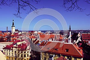 Tallinn, the capital of Estonia. Panoramic view of the medieval city and its red roofs, Tallinn, Estonia