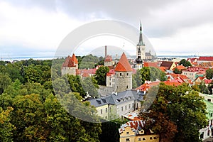 Tallinn city wall and St. Olaf Church view, Estonia