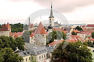 Tallinn city wall and St. Olaf Church view, Estonia