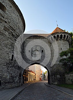 Tallinn Estonia photo