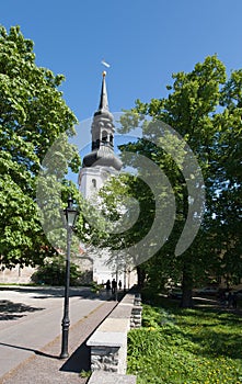 Tallinn Estonia Capital Eesti