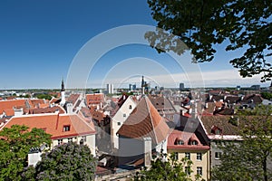 Tallinn Estonia Capital Eesti