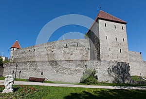 Tallinn Estonia Capital Eesti