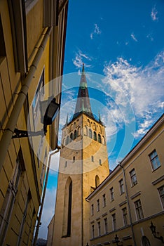 Tallinn, Estonia: Church of St. Olaf. Street of the old town and steeple of the Church