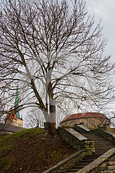 Tallinn, Estonia: Steps that lead to the Fat Margaret tower. Autumn landscape with a view of the Church of St. Olaf