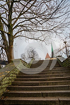 Tallinn, Estonia: Steps that lead to the tower. Autumn landscape with a view of the Church of St. Olaf