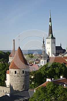 Tallinn, Estonia, street of the old city with bright houses and spike of St Olaf Oleviste Church