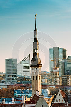 Tallinn, Estonia. View Of Tower Of Tallinn Town Hall On Background