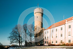 Tallinn, Estonia. View Of Upper Town Castle Corner Tower Tall Hermann