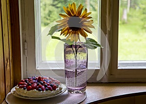 Tallinn, Harjumaa/ Estonia-29AUG2020: Collectible Tarbeklaas vase called Sammal with sunflower and summer cake on window.