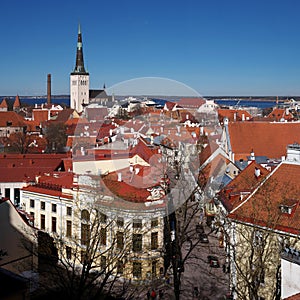 Tallinn Old Town on Toompea Hill, Estonia, panoramic view with traditional red tile roofs, medieval churches and walls.