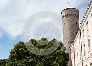 Tallinn`s Tall Hermann Tower