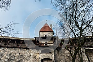 Tallitorn tower in Tallinn town wall