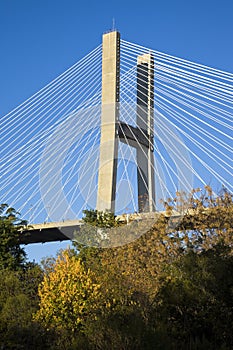 Talmadge Memorial Bridge