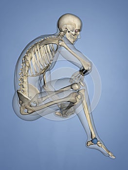 Talus Bone, 3D Model photo