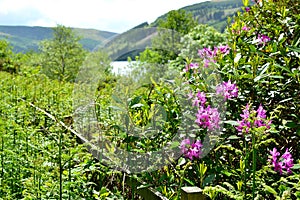 talybont-on-Usk valley and reservoir