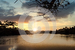 Tam Chau tea hill in Bao Loc, Lam Dong, Viet Nam photo